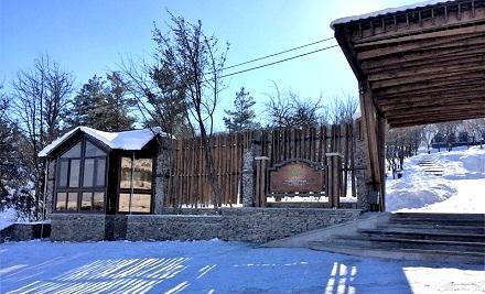 cottage-tsaghkadzor-park-village