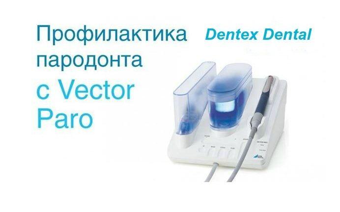 dentex-dental-vector-paro-atamnaqareri-bujum