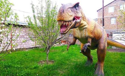 dino-club-yerevan