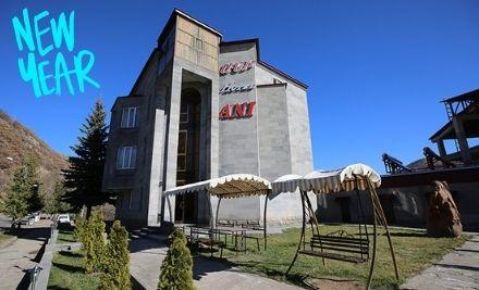 ani-hotel-jermuk-new-year