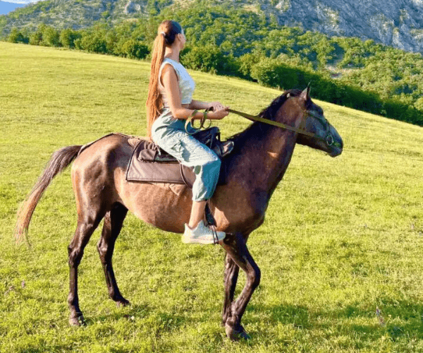 ձիարշավներ-լոռու-մարզ-հագվի-սեվդու-սուրբ-նշան