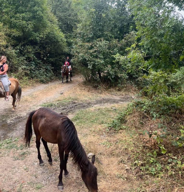 Gallery media resource