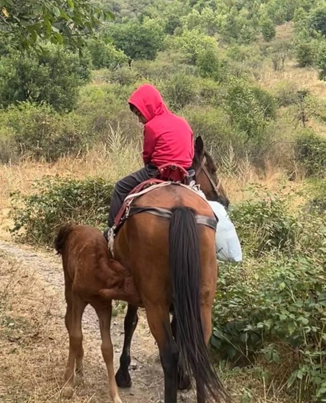 Gallery media resource