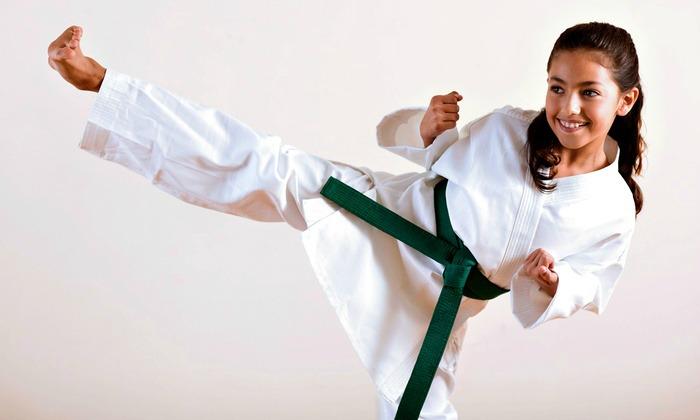 taekwondo-kananc-erexaneri-hamar-energy-fit