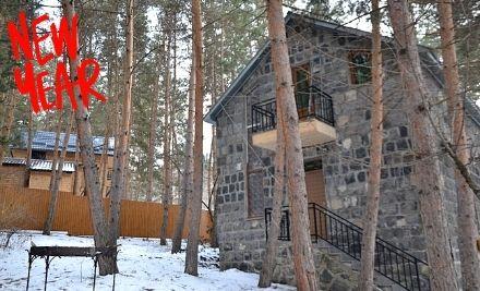 new-year-tsaghkadzor-ed-cottage